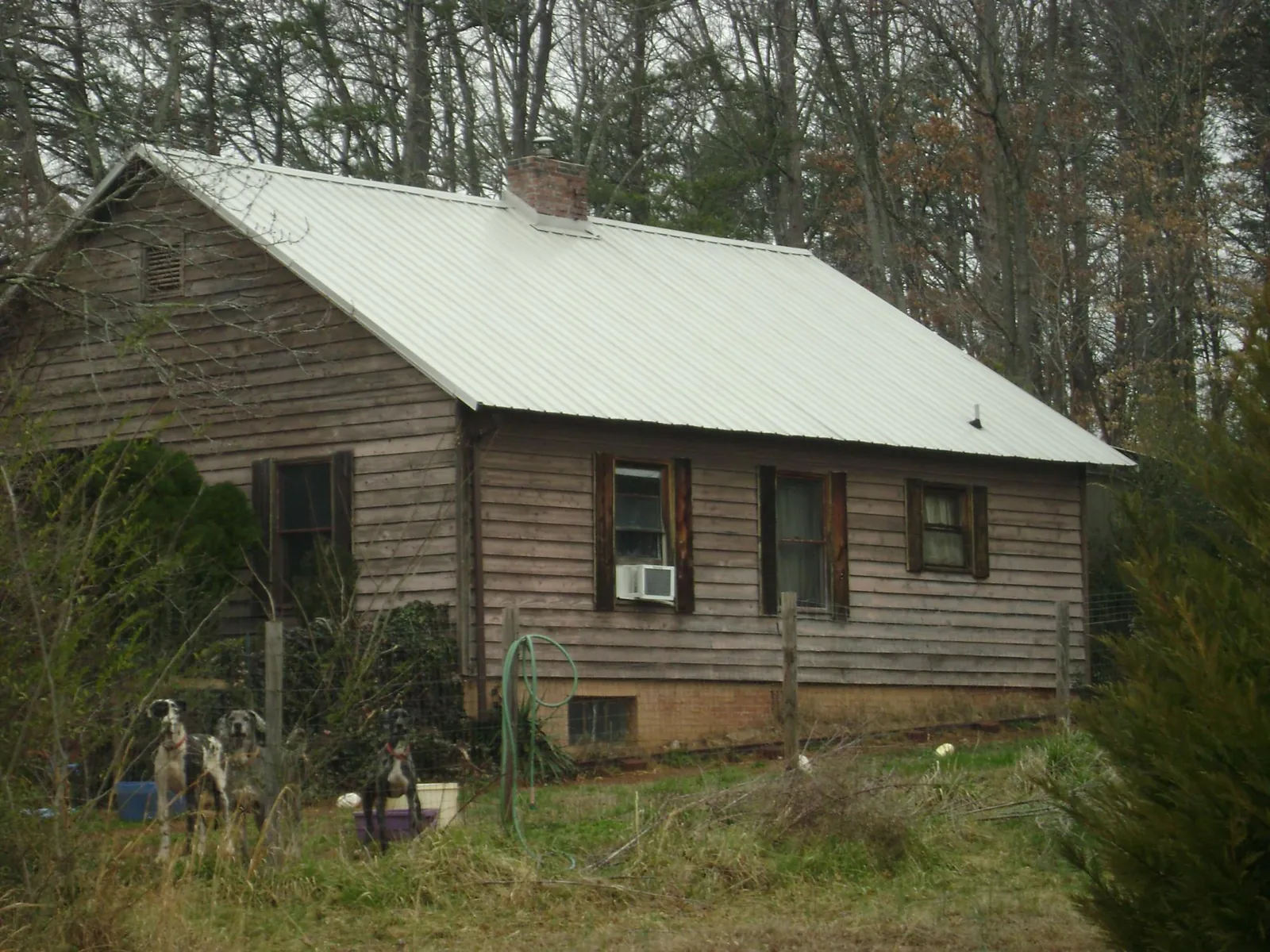 White metal roof on an old wood sided farmhouse, from a Asphalt Shingle Roof Repair job in Cordova